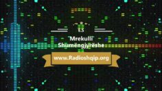 [ID: 7FjzfDYWL_c] Youtube Automatic