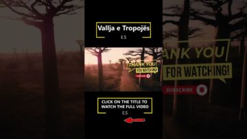 [ID: bS7baCdhlEY] Youtube Automatic