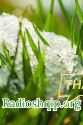 [ID: CeKLenEqno8] Youtube Automatic