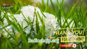 [ID: CeKLenEqno8] Youtube Automatic