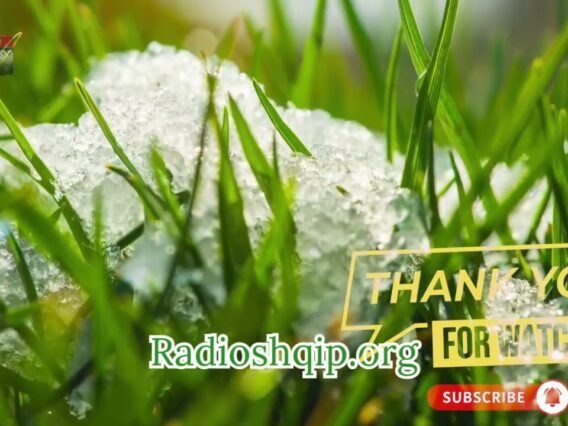 [ID: CeKLenEqno8] Youtube Automatic