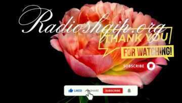 [ID: F-ZNk2yNYTI] Youtube Automatic