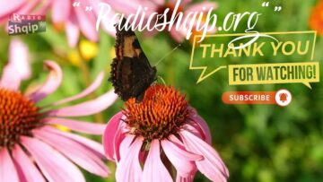 [ID: fyGV0YTeRqo] Youtube Automatic