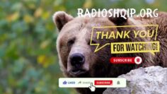 [ID: gCAljcFJU6s] Youtube Automatic