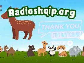 [ID: -jpwdmitRv4] Youtube Automatic