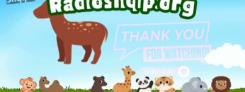 [ID: -jpwdmitRv4] Youtube Automatic