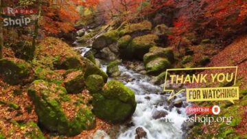 [ID: LaUzDJQK-bg] Youtube Automatic