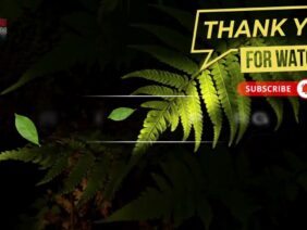 [ID: MS6pNbr9BkU] Youtube Automatic