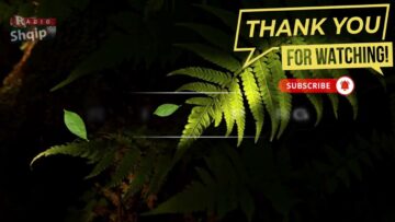 [ID: MS6pNbr9BkU] Youtube Automatic