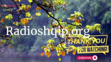 [ID: nljdWkmbmzs] Youtube Automatic