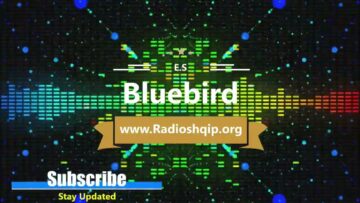 [ID: oH1F5lg3ENU] Youtube Automatic