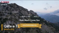 [ID: OK6L7iLYTvQ] Youtube Automatic