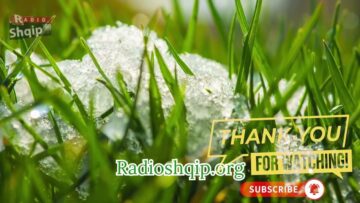 [ID: ovNJ4brDhYk] Youtube Automatic