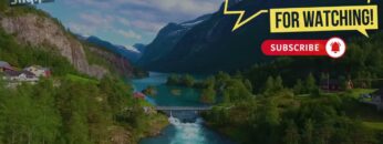 [ID: stgsAWDVO8I] Youtube Automatic