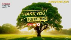 [ID: vmqdOxllxDs] Youtube Automatic