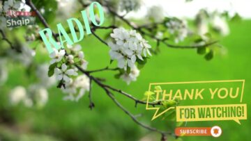 [ID: VPpSYX5fXuc] Youtube Automatic