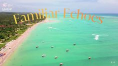 [ID: 1lKF20BKY1c] Youtube Automatic