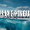 [ID: bFB7GMA2qUY] Youtube Automatic