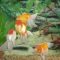 [ID: e7oO_LOZSOE] Youtube Automatic