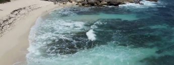 [ID: i90jwdngi60] Youtube Automatic