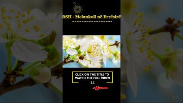 [ID: JwDlhaklCkY] Youtube Automatic