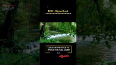 [ID: lCafSmPiFc8] Youtube Automatic