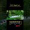 [ID: lCafSmPiFc8] Youtube Automatic