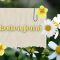 [ID: pw2kFKqCfmY] Youtube Automatic