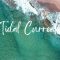 [ID: UHDiL41XeuQ] Youtube Automatic