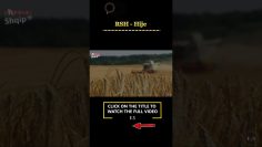 [ID: uJLvFOrQPr8] Youtube Automatic