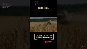 [ID: uJLvFOrQPr8] Youtube Automatic