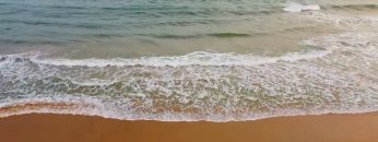 [ID: wjDZtM49MDU] Youtube Automatic
